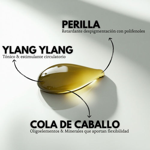 Revital Raw Shampoo fine/oily hair 300ml